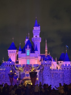 Disneyland castle illuminated in purple and blue lights at night